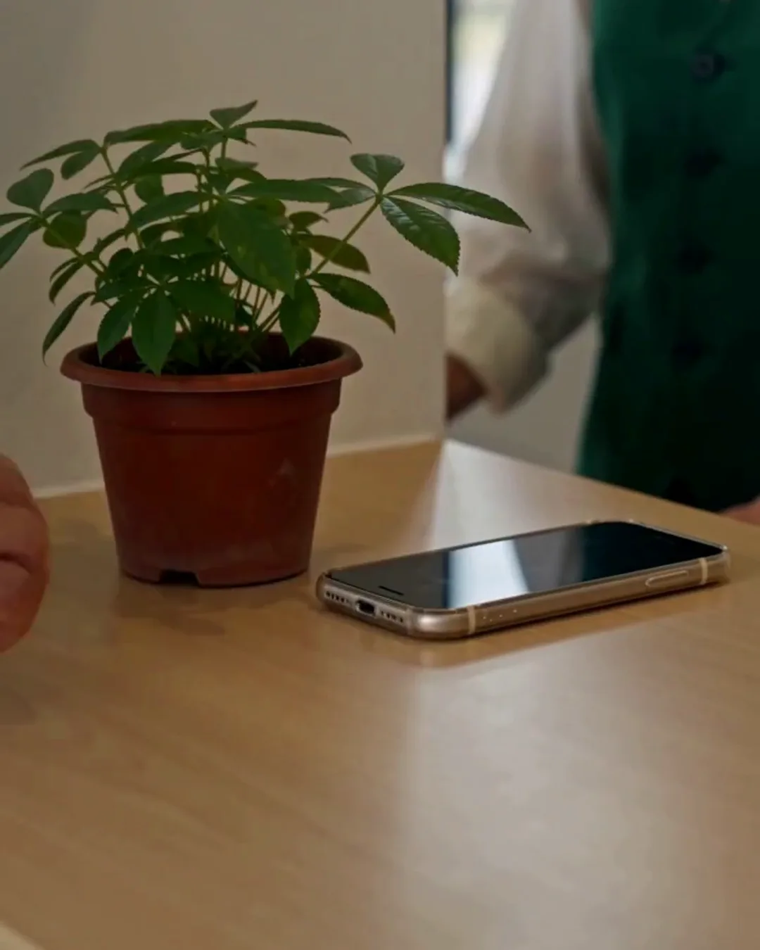 観光案内所のカウンターに置かれた、観葉植物とスマートフォン