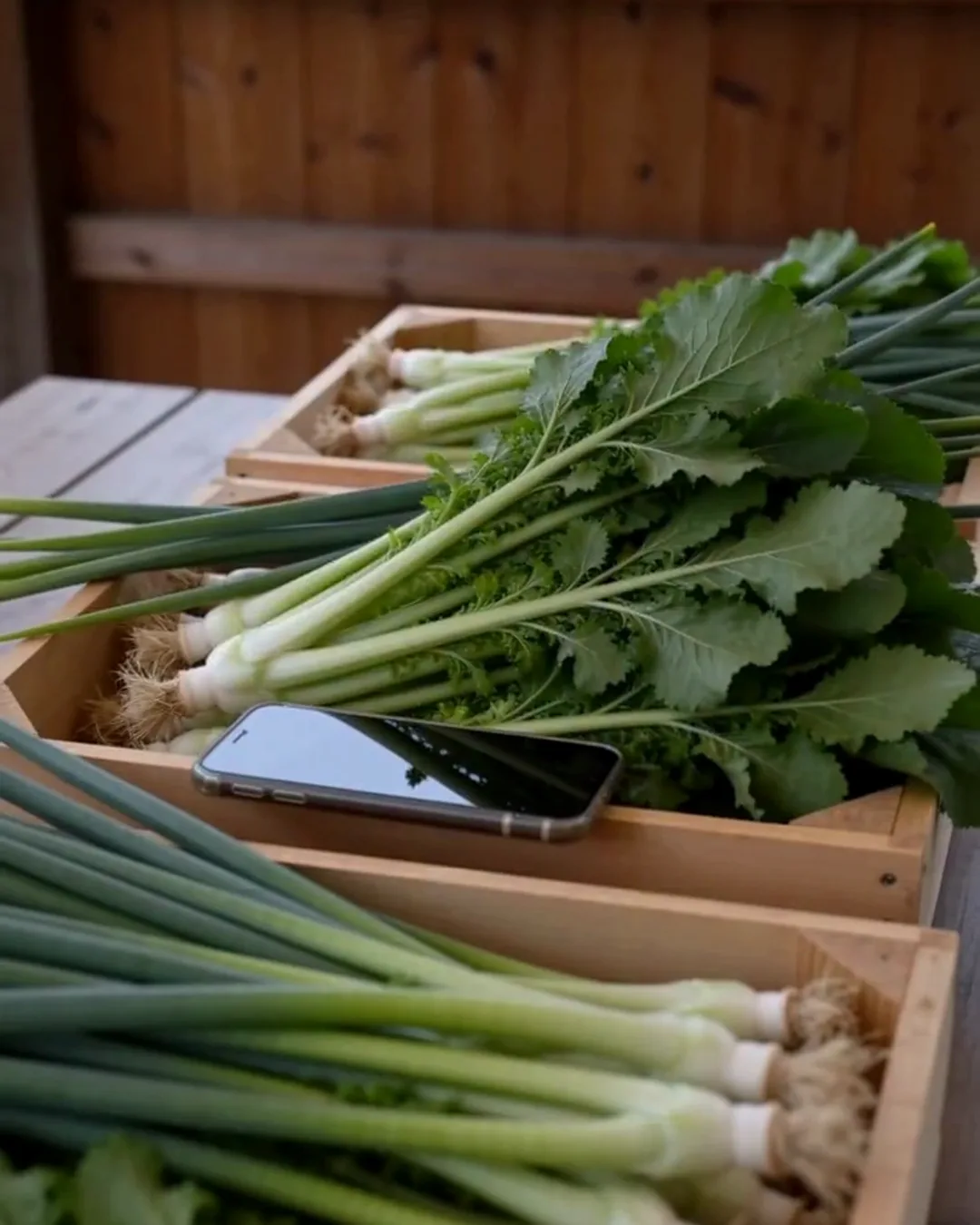 直売所の木箱に並んだ、葉付きの地元の野菜