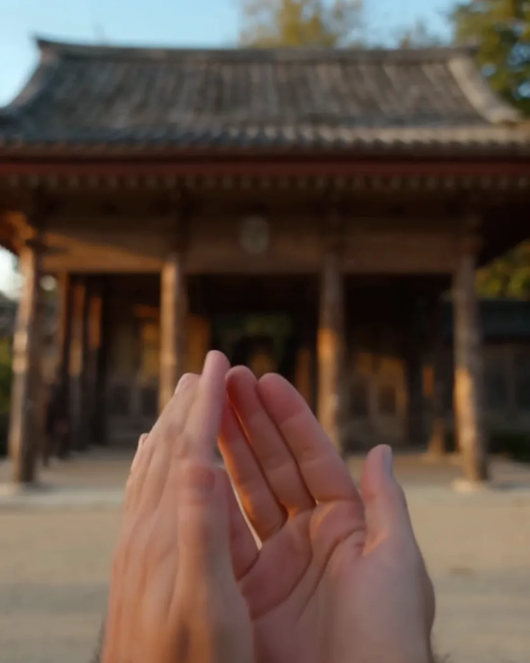 朝の光の中、木の拝殿の前で、胸の前で合わせようとしている両手